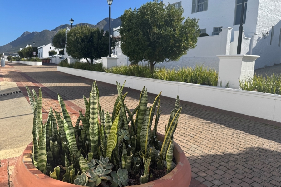 To Let 3 Bedroom Property for Rent in Chanteclair Western Cape